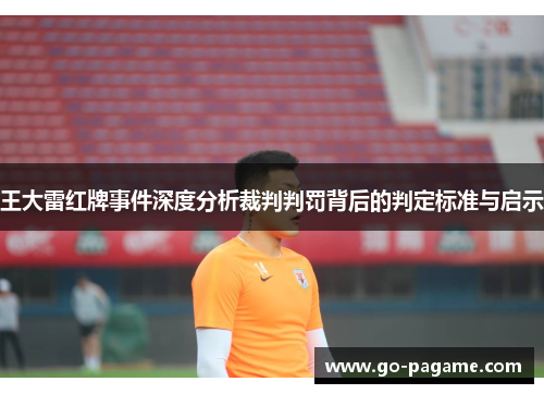王大雷红牌事件深度分析裁判判罚背后的判定标准与启示