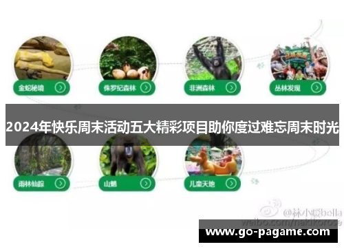 2024年快乐周末活动五大精彩项目助你度过难忘周末时光