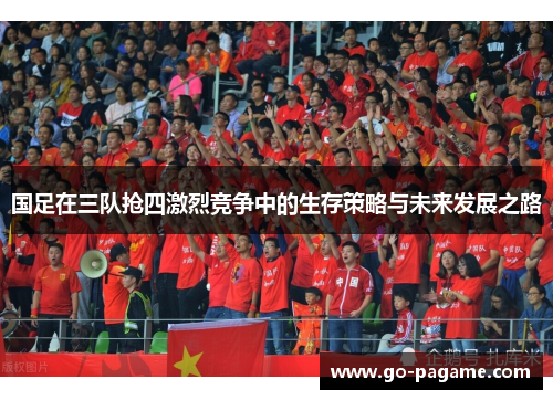 国足在三队抢四激烈竞争中的生存策略与未来发展之路
