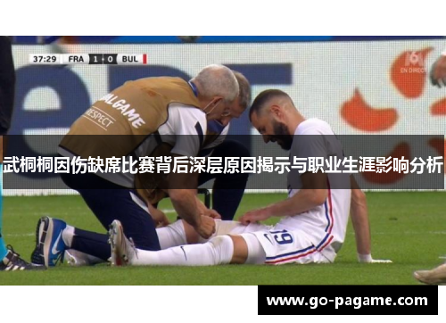 武桐桐因伤缺席比赛背后深层原因揭示与职业生涯影响分析