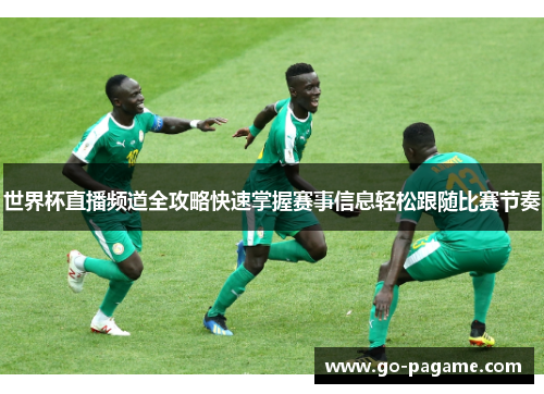 世界杯直播频道全攻略快速掌握赛事信息轻松跟随比赛节奏