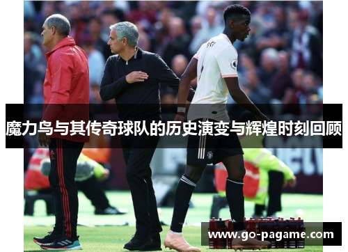 魔力鸟与其传奇球队的历史演变与辉煌时刻回顾