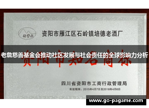 老詹慈善基金会推动社区发展与社会责任的全球影响力分析